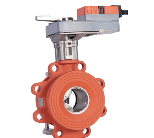 Butterfly Valve